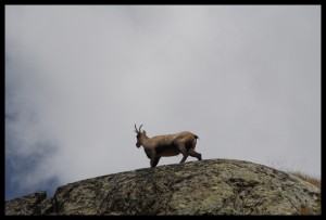 IMG_1442
